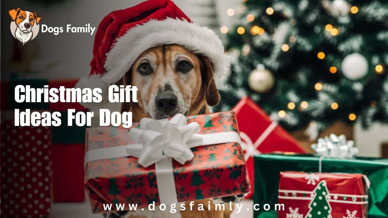 Christmas Gift Ideas For Dog