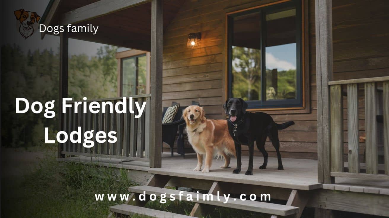 Dog Friendly Lodges