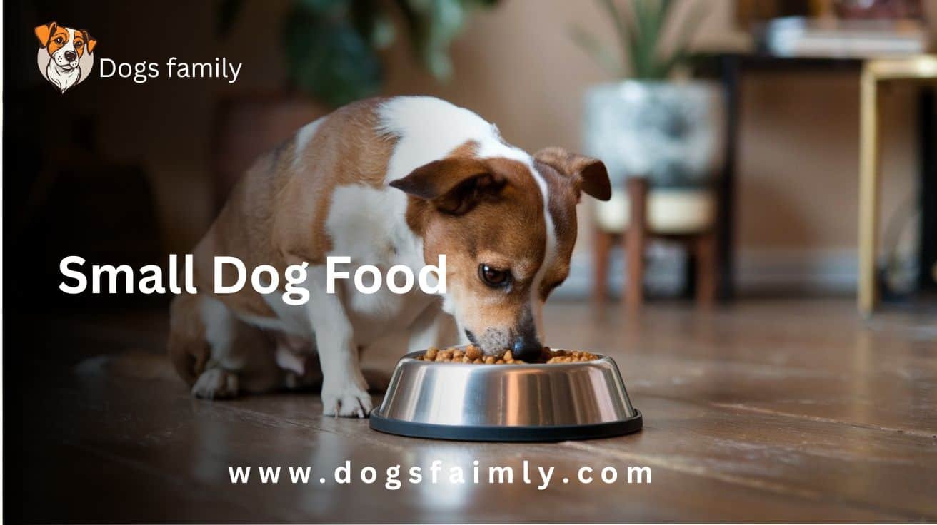 Small Dog Food